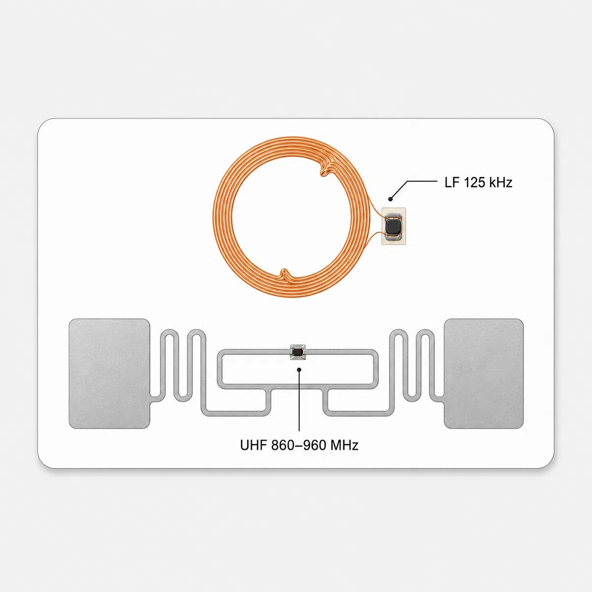 LF 125 kHz and UHF 860-960 MHz dual-frequency RFID card layout