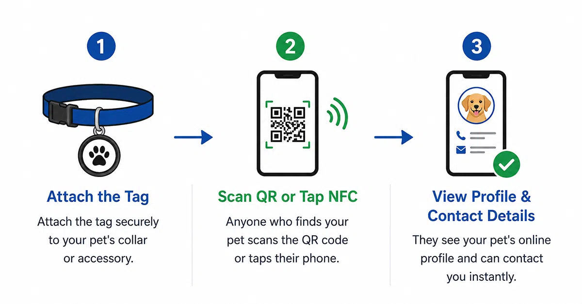 Three steps showing how CedaGlo pet ID tag works: attach tag, scan QR or tap NFC, view profile and contact details
